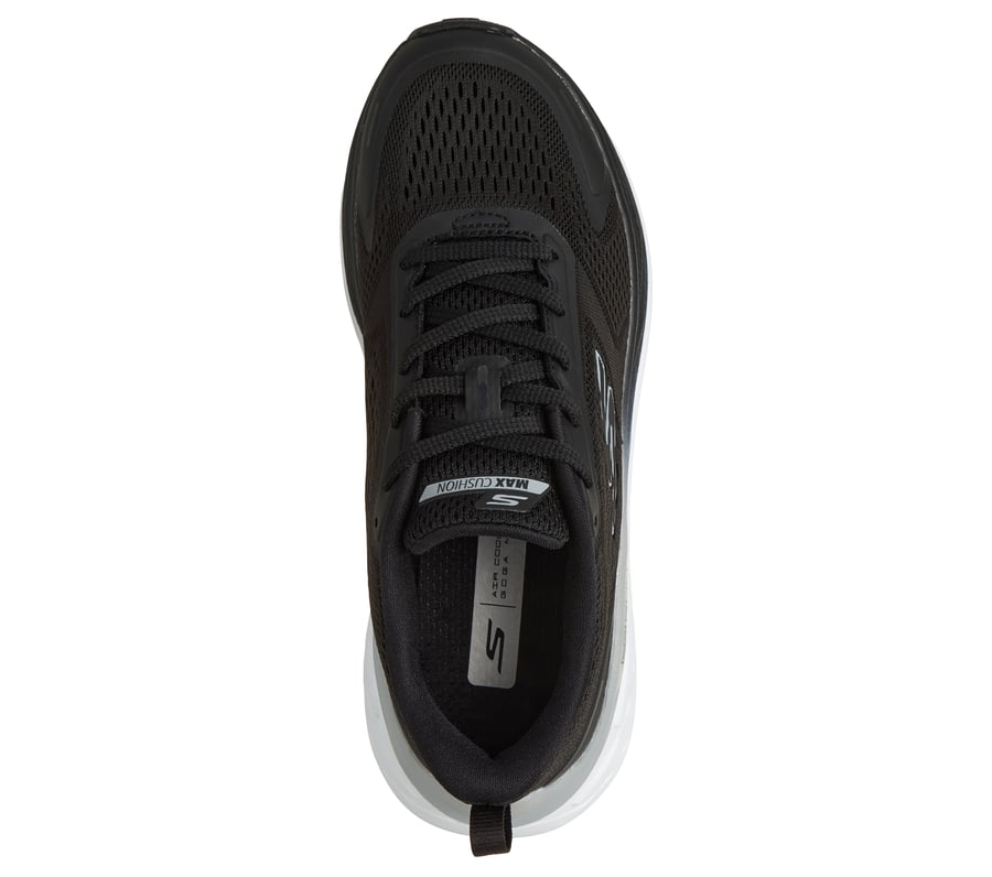 amorti maximal elite 3