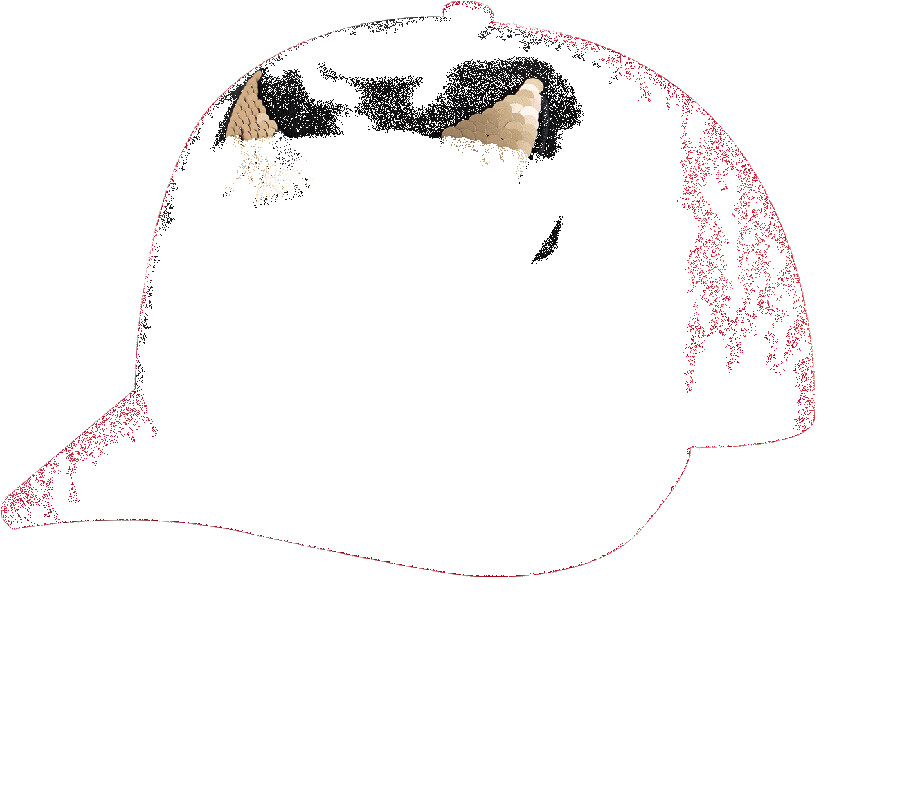 casquette de camionneur skechers monster eyes