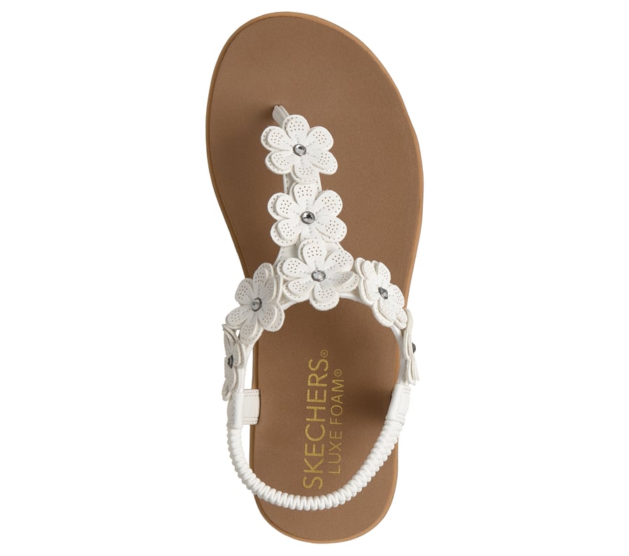 summer cove - floraison de la plage