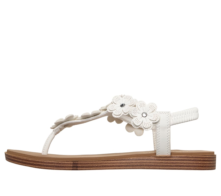 summer cove - floraison de la plage